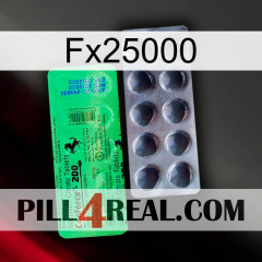 Fx25000 new04
